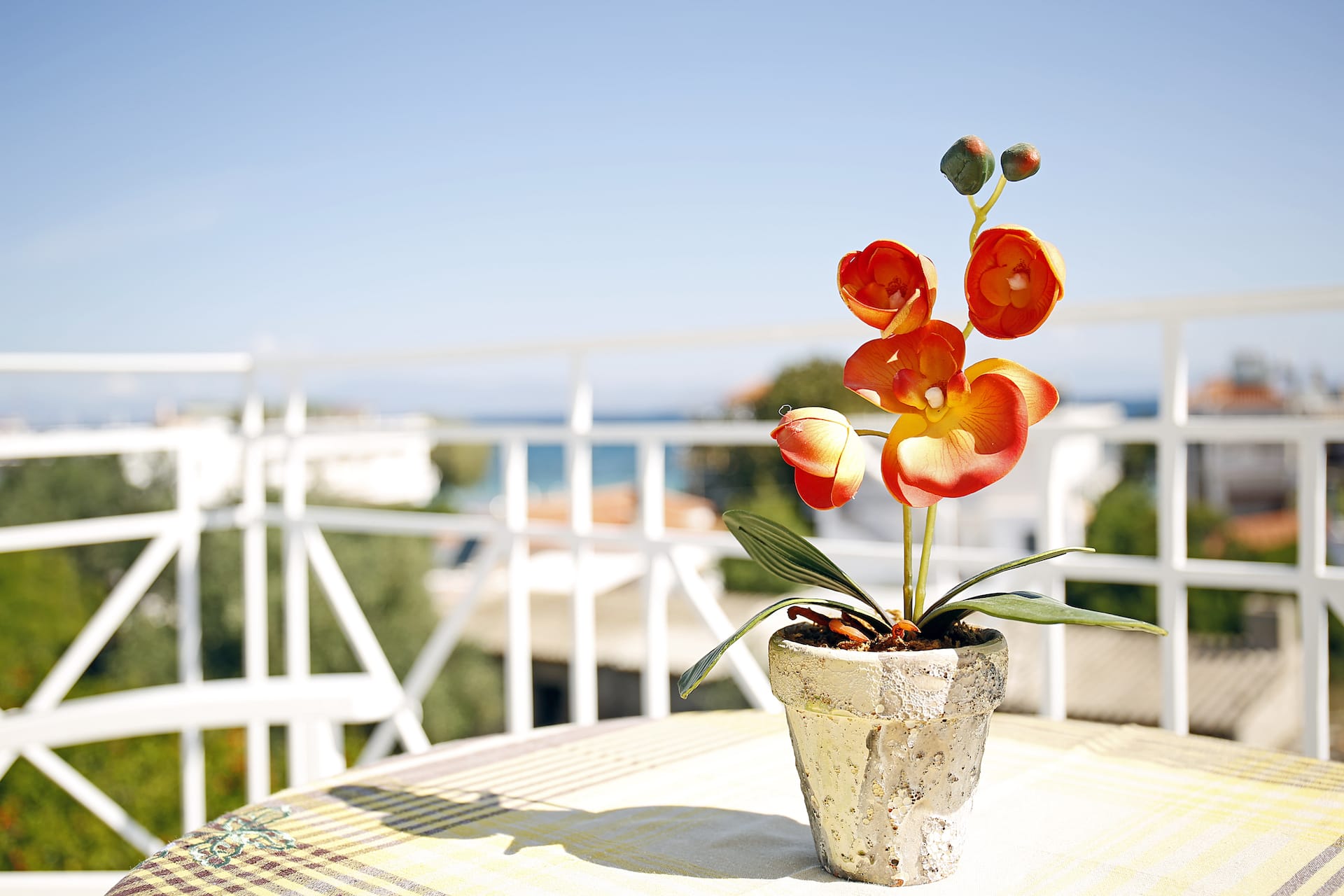 Pot with beautiful orange flowers on a table, in an apartment in Agistri on a balcony on a sunny day.